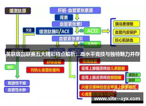 英联级别联赛五大精彩特点解析:高水平竞技与独特魅力并存 英联级别联赛五大精彩特点解析:高水平竞技与独特魅力并存