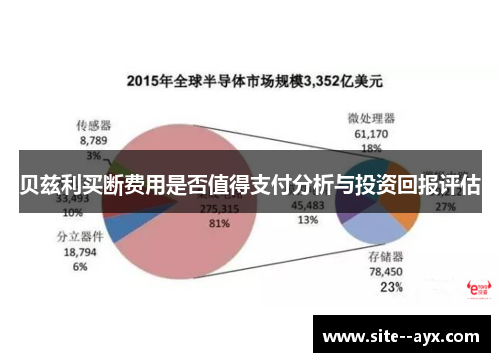 贝兹利买断费用是否值得支付分析与投资回报评估