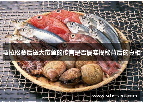 马拉松赛后送大带鱼的传言是否属实揭秘背后的真相
