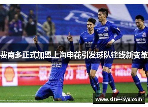 费南多正式加盟上海申花引发球队锋线新变革