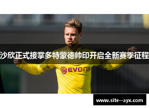 沙欣正式接掌多特蒙德帅印开启全新赛季征程